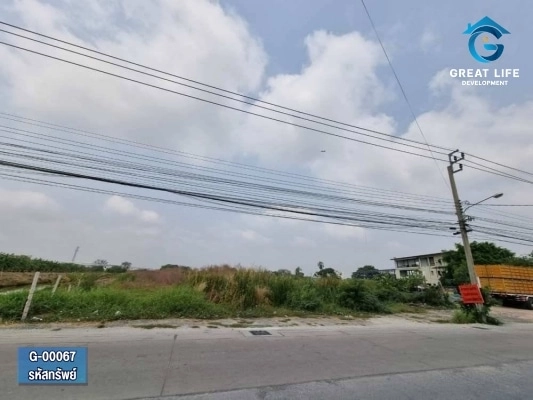 ขายที่ดินเปล่าติดถนนซอยบางปลา2 (ธนสิทธิ์) รูปที่ 4