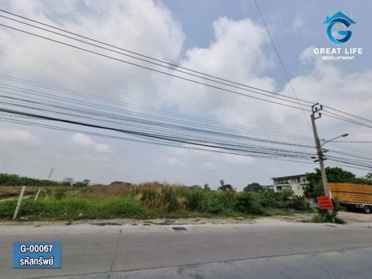 ขายที่ดินเปล่าติดถนนซอยบางปลา2 (ธนสิทธิ์) รูปที่ 3