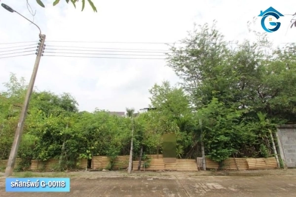 ขายบ้านเดี่ยว 1 ชั้น พร้อมที่ดินเปล่า 3 แปลง บางปู สมุทรปราการ รูปที่ 5