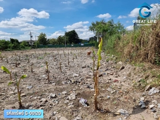 ขายที่ดินเปล่าสุขุมวิท 117 สมุทรปราการ รูปที่ 7