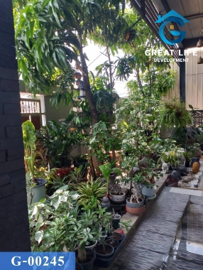 ขายบ้านเดี่ยว 2 ชั้น ซอยสุขสวัสดิ์ 78 รูปที่ 6