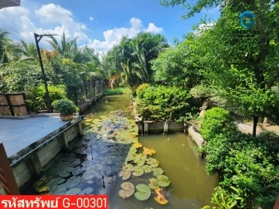 ขายบ้านสวนบางยางกระทุ่มแบน รูปที่ 5